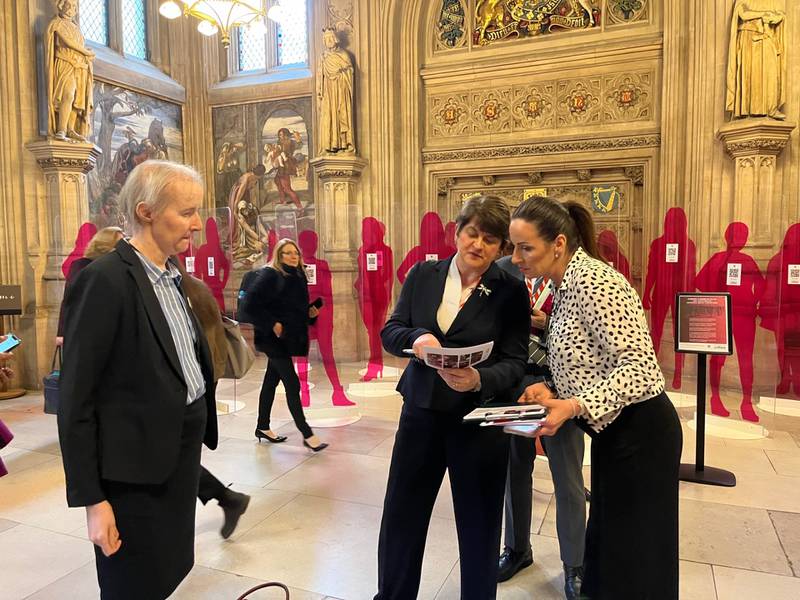 Dame Arlene Foster, former first minister for Northern Ireland, spoke to secondary breast cancer campaigners in parliament in March.  Lemma Shehadi / National